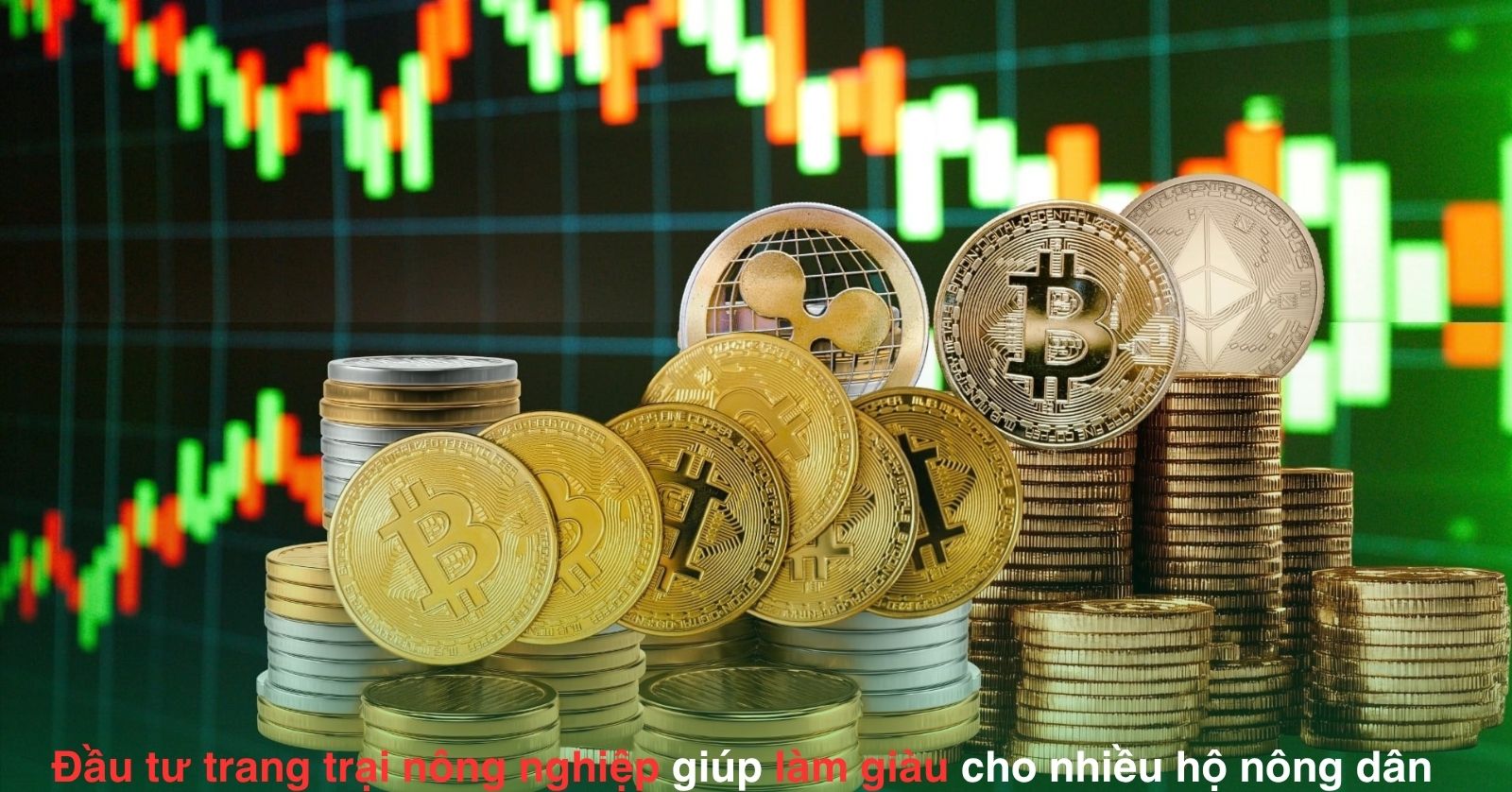 Đầu tư trang trại nông nghiệp giúp nhiều hộ nông dân làm giàu