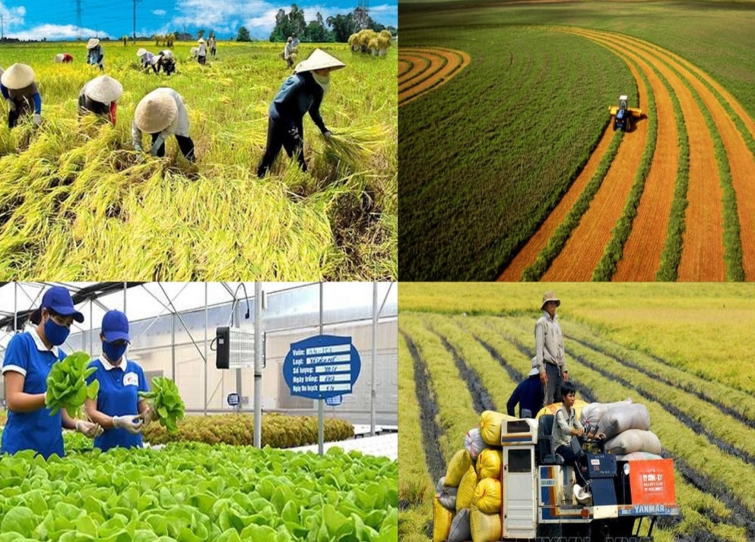 6 Mô Hình Đầu Tư Nông Nghiệp Bền Vững 2026: Xu Hướng & Cơ Hội Đầu Tư - Công ty Vạn Xuân