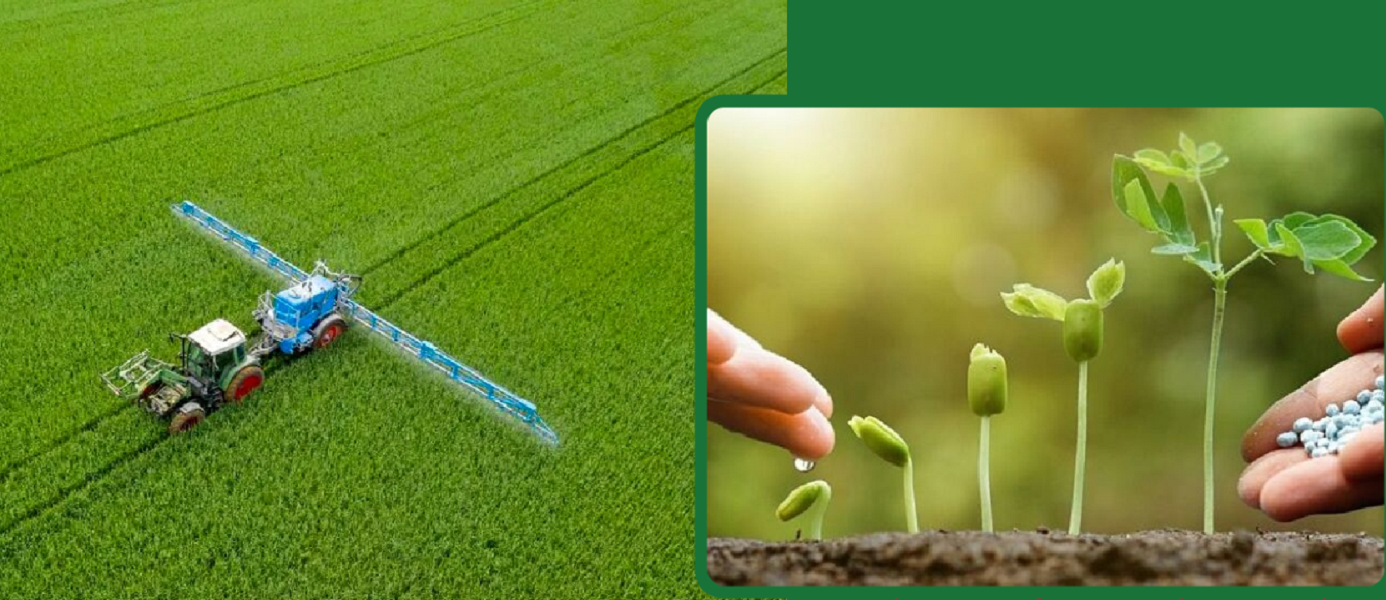 Mô hình đầu tư nông nghiệp xanh - sạch được đông đảo bà con nông dân hưởng ứng