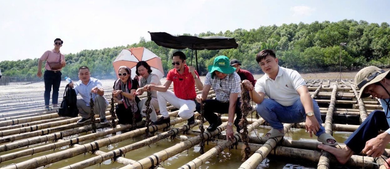 Vạn Xuân hợp tác nuôi hàu cùng các đối tác - mô hình nông - ngư nghiệp hay mở ra cơ hội làm giàu cho các nhà đầu tư đi trước đón đầu